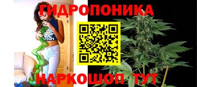 герыч Гатчина