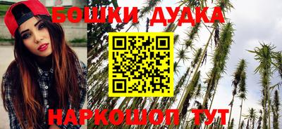 молекула духа Будённовск