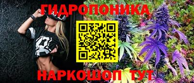 герыч Гатчина