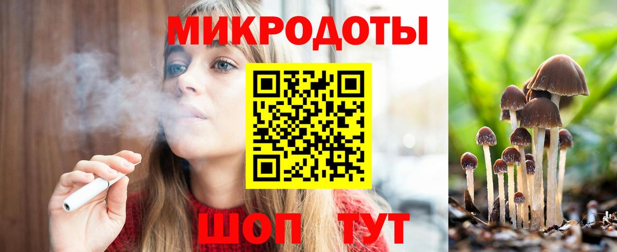 Канаш  Галлюциногенные грибы Psilocybine cubensis  Вход с VPN 