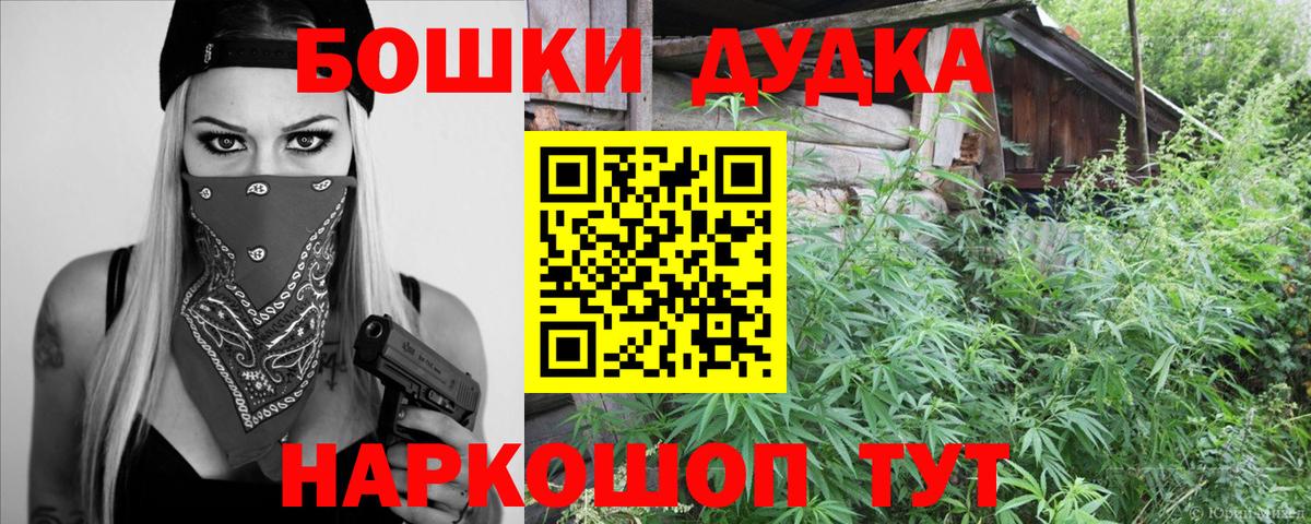 Бошки марихуана гибрид  Бошки Шишки Bruce Banner  Марихуана тримм  Канаш  Вход с VPN 